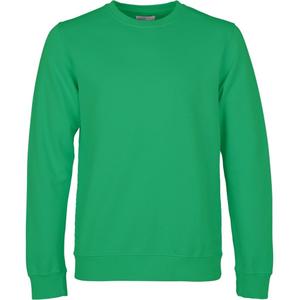 product/c/s/cs1005-kellygreen.jpg