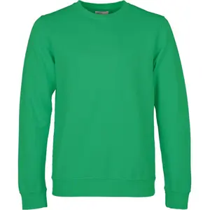 cs1005-kellygreen-sweatshirt-col-rond-colorful-standard-classic-organic-kelly-green