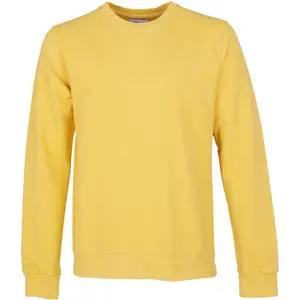 cs1005-lemonyellow-sweatshirt-col-rond-colorful-standard-classic-organic-lemon-yellow