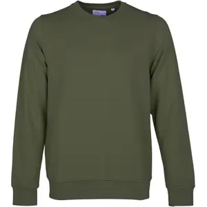 cs1005-seaweedgreen-sweatshirt-col-rond-colorful-standard-classic-organic-seaweed-green