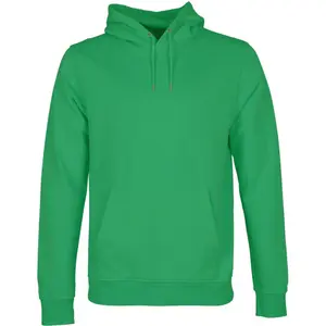 cs1006-kellygreen-sweatshirt-a-capuche-colorful-standard-classic-organic-kelly-green-kelly-green