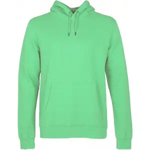 cs1006-springgreen-sweatshirt-a-capuche-colorful-standard-classic-organic-spring-green-spring-green