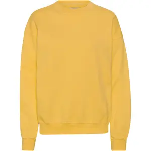 cs1012-burnedyellow-sweatshirt-col-rond-colorful-standard-organic-oversized-burned-yellow