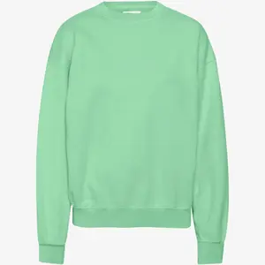 cs1012-fadedmint-sweatshirt-col-rond-colorful-standard-organic-oversized-faded-mint
