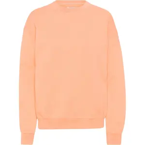 cs1012-paradisepeach-sweatshirt-col-rond-colorful-standard-organic-oversized-paradise-peach
