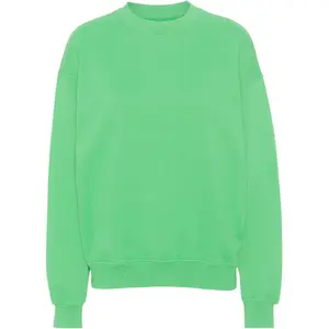 cs1012-springgreen-sweatshirt-col-rond-colorful-standard-organic-oversized-spring-green