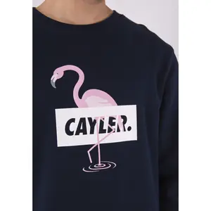 Sweatshirt Cayler & Sons wl camingo crewneck image-2