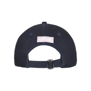 Casquette Cayler & Sons wl camingo curved image-2