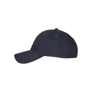 Casquette Cayler & Sons wl camingo curved image-3