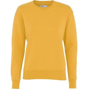 cs2052-burnedyellow-damski-sweter-z-okraglym-dekoltem-colorful-standard-classic-organic-burned-yellow-kolor-zolty-palony