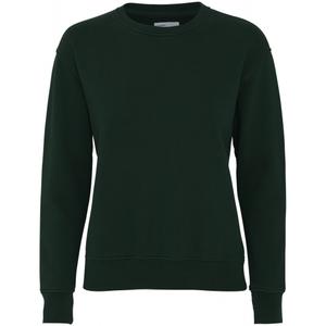 cs2052-huntergreen-damski-sweter-z-okraglym-dekoltem-colorful-standard-classic-organic-hunter-green-zielen-lowicka