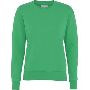 cs2052-kellygreen-damski-sweter-z-okraglym-dekoltem-colorful-standard-classic-organic-kelly-green-kelly-green