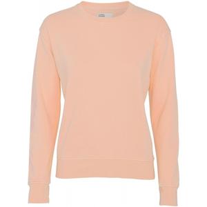 cs2052-paradisepeach-damski-sweter-z-okraglym-dekoltem-colorful-standard-classic-organic-paradise-peach-rajska-brzoskwinia