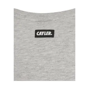 T-shirt Cayler & Sons northern lines image-4