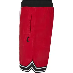 Short Cayler & Sons csbl reverse banned cord image-2