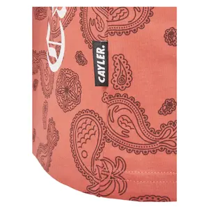 T-shirt Cayler & Sons cali paiz image-5
