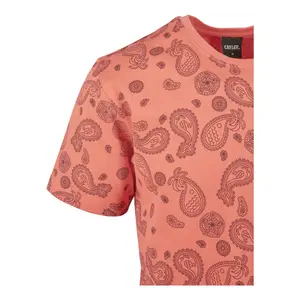 T-shirt Cayler & Sons cali paiz image-4