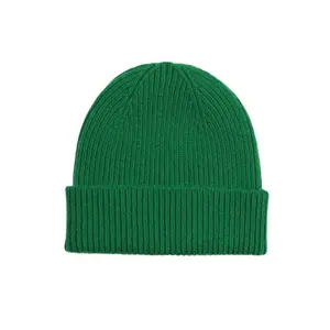 Wool hat Colorful Standard Merino kelly green image-0