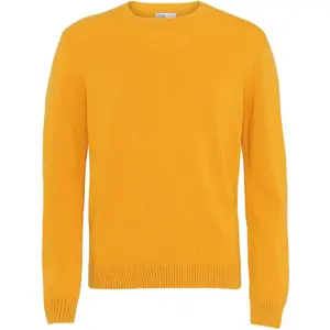 cs5083-burnedyellow-pull-col-rond-en-laine-colorful-standard-classic-merino-burned-yellow