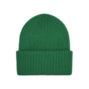 Πλεκτό σκουφί Colorful Standard Merino kelly green image-0