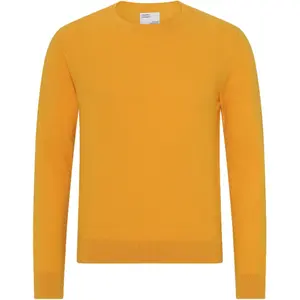 Pull col rond en laine Colorful Standard Light Merino burned yellow 2020 color image-0