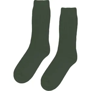 Vlněné ponožky Colorful Standard Merino Blend emerald green image-0