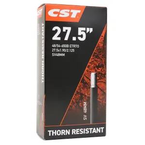 Inner tube CST Thorn