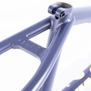 Frame Cult Shorty IC2 image-2