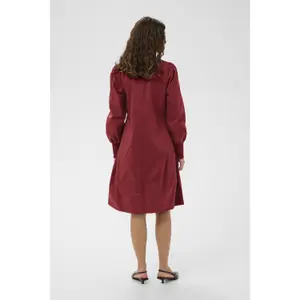 Women's dress CULTURE Loretta Antoinett image-4