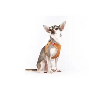 Leather dog harness Curli Apple image-1