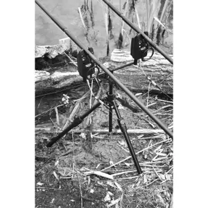 Treppiede Cygnet Specialist image-1