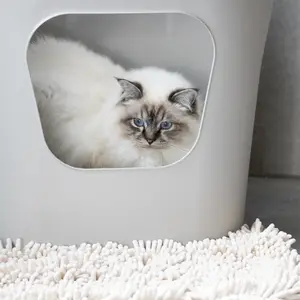 Open Cat Litter Tray D&D Home Dean image-1