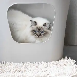 Open Cat Litter Tray D&D Home Dean image-1