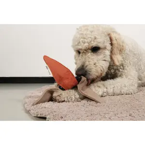 Jouet pour chien D&D Home Iceflower image-3