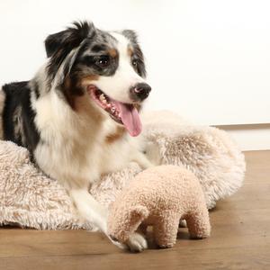 Banjo nalle mjukisdjur för hundar D&D Home image-2