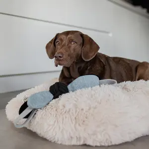 Jouet pour chien jule D&D Home image-2