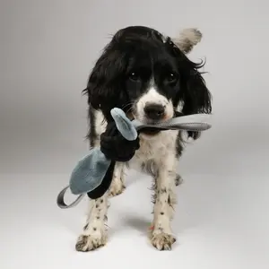 Jouet pour chien jule D&D Home image-3