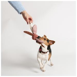 Juguete para perro Jule D&D Home image-2