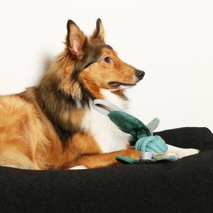 Juguete para perro Jule D&D Home image-3