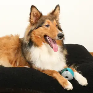 Bola de cão D&D Home Luca Lagoon image-2