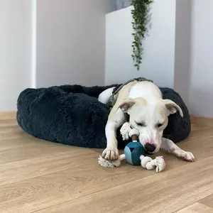 Corde pour chien avec balle D&D Home Levi Lagoon image-2