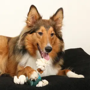 Corde pour chien avec balle D&D Home Levi Lagoon image-3