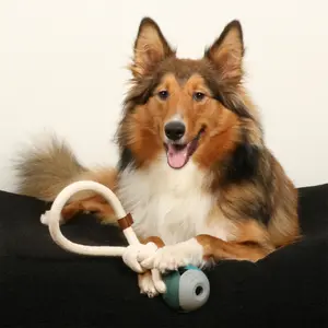 Corde pour chien avec balle D&D Home Nora Lagoon image-2