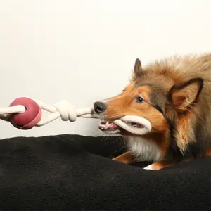 Cuerda para perros con pelota D&D Home Yara Rosewood image-2