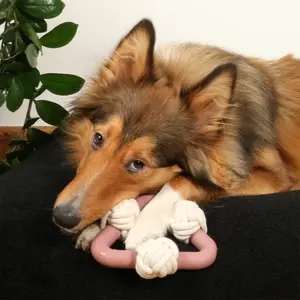 Hondenspeeltje in tpr met touw D&D Home Milou Rosewood image-2