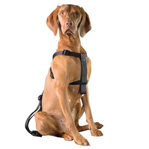 Arnés de seguridad para perros D&D Home image-1