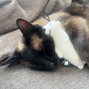 Cojín perforador con forma de osito de peluche D&D Home Barry image-4