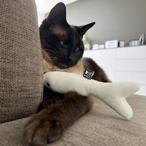 Cojín perforador en forma de pez D&D Home Finn image-3