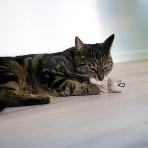 Αξεσουάρ παιχνιδιού από ύφασμα για γάτες D&D Home Alfie image-3