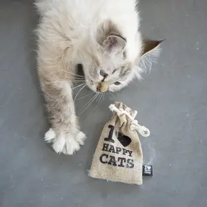 Oplaadbaar etui D&D Home I love happy Cats image-2